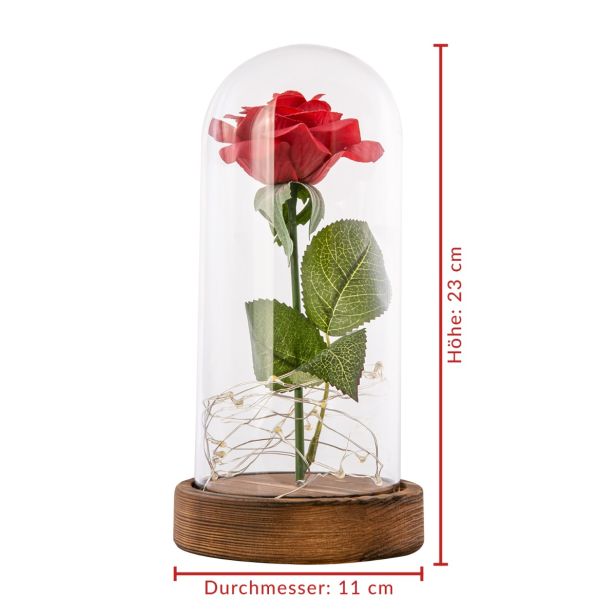 Ewige Rose im Glas mit Gravur