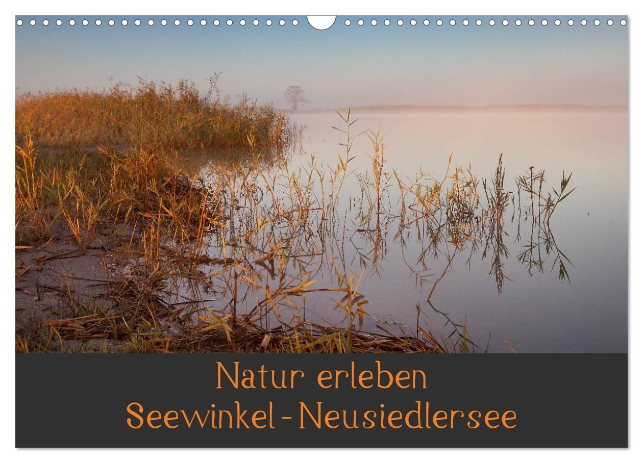 Natur erleben Seewinkel-Neusiedlersee (Wandkalender 2024 DIN A3 quer), CALVENDO Monatskalender Naturkulisse Seewinkel im Burgenland, Österreich