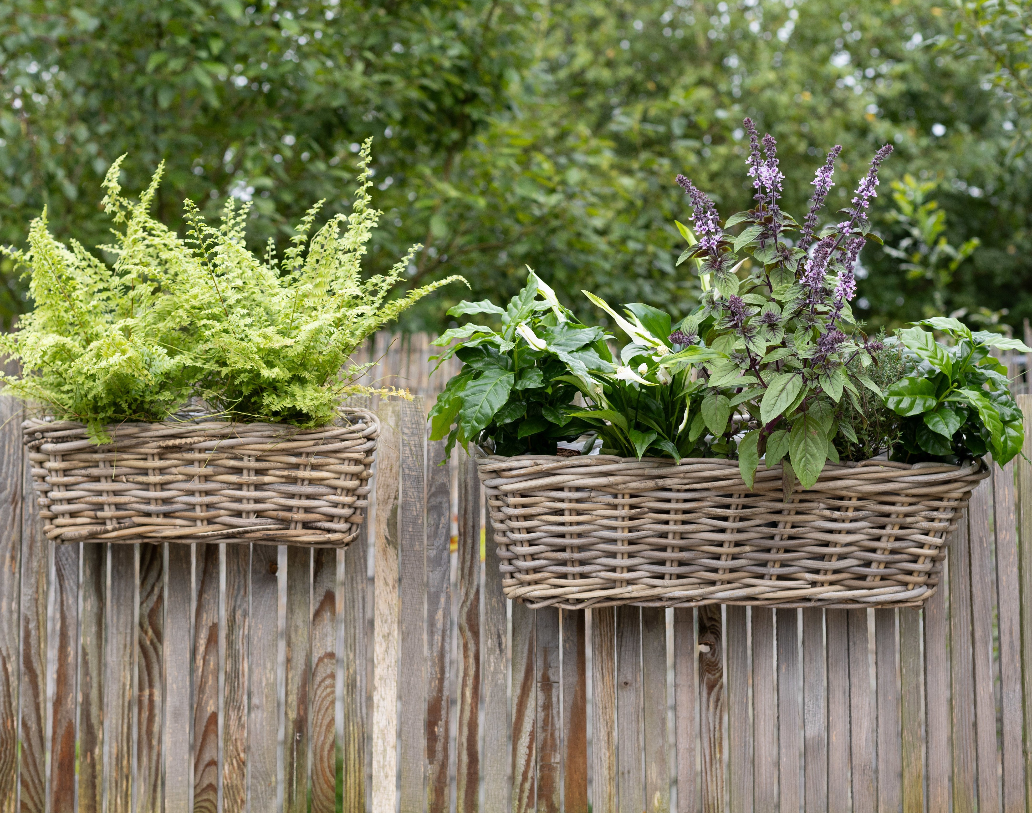 Balkonkästen Set aus Rattan