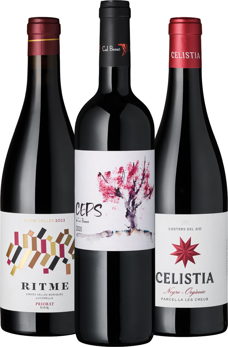 Weinpaket 3er Set | Katalanischer Hochgenuss