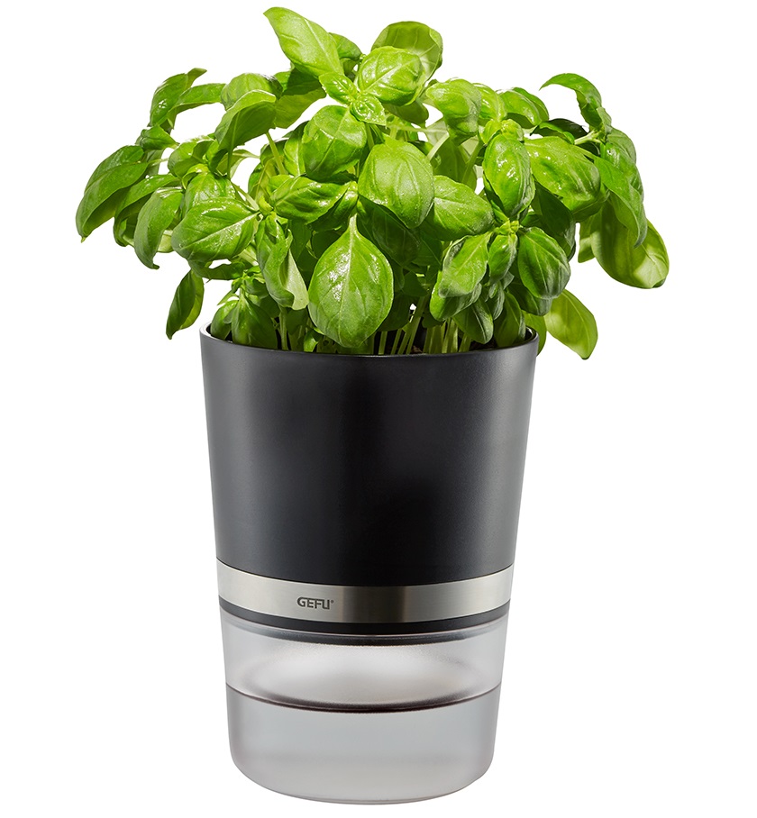 Kräutertopf | BOTANICO