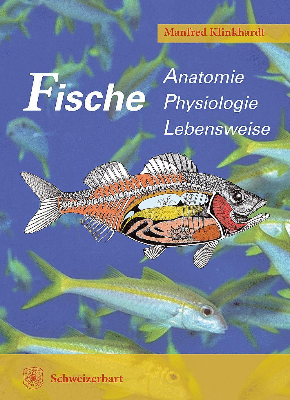 Fische Anatomie, Physiologie, Lebensweise